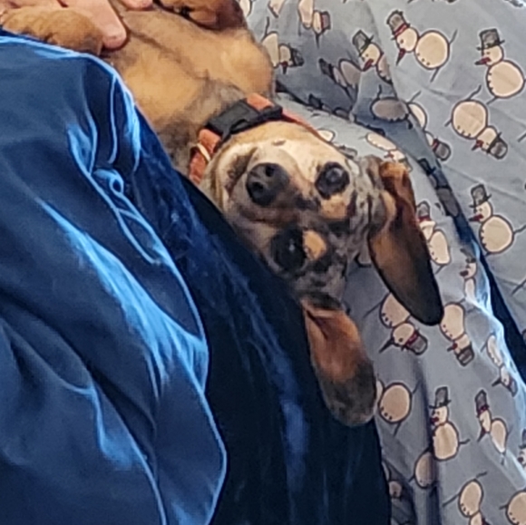 Meet your Posher, Jenny A.K.A GothMama 😘💜🦇 - Picture 11 of 16